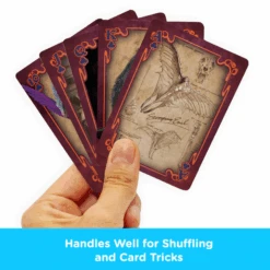 Aquarius LES ANIMAUX FANTASTIQUES - Jeu De Cartes -Figurines Mania Soldes Magasin FIGNMR52816 4